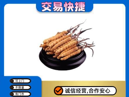 广州市南沙回收冬虫夏草多少钱每克